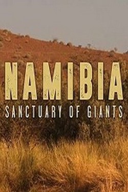 Nat Geo Wild: Намибия: убежище гигантов - смотреть онлайн