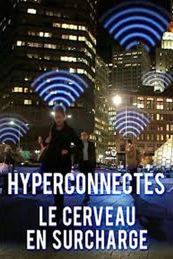 Перегруженный мозг - смотреть онлайн