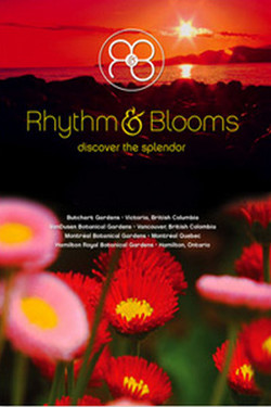 Цветочный блюз - смотреть онлайн