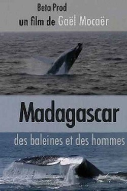 Мадагаскар: Киты и люди - смотреть онлайн