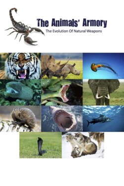 National Geographic. Арсенал животных - смотреть онлайн