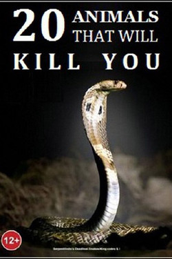 National Geographic. 20 животных, которые могут вас убить - смотреть онлайн