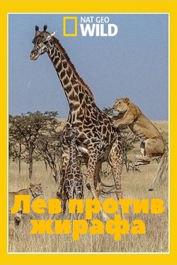 NGW: Лев против жирафа - смотреть онлайн