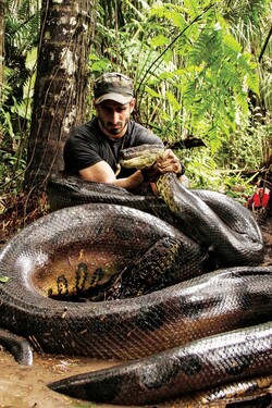 Съеденный заживо - смотреть онлайн