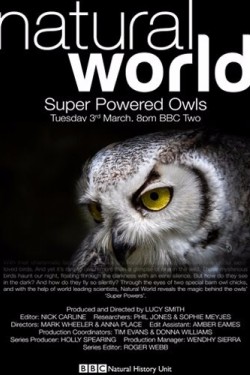 Совы. По ту сторону тайны - смотреть онлайн