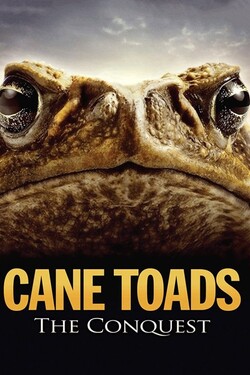 Тростниковые жабы: Оккупация - смотреть онлайн