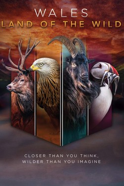 Уэльс: дикая земля - смотреть онлайн