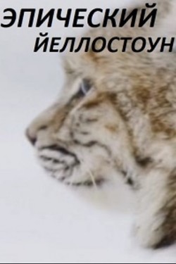 Viasat Nature: Эпический Йеллоустоун - смотреть онлайн