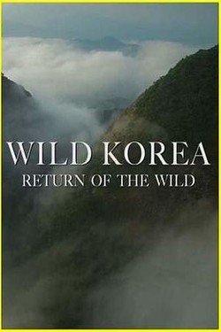 Дикая Корея - смотреть онлайн