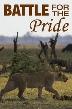 Nat Geo Wild: Битва за прайд - смотреть онлайн