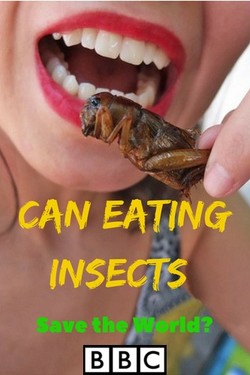 BBC. Может ли питание насекомыми спасти мир? - смотреть онлайн