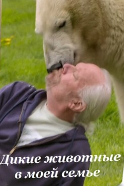 Viasat Nature: Дикие животные в моей семье - смотреть онлайн