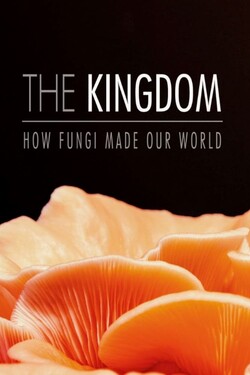 Тайное царство: Грибы, определившие наш мир - смотреть онлайн