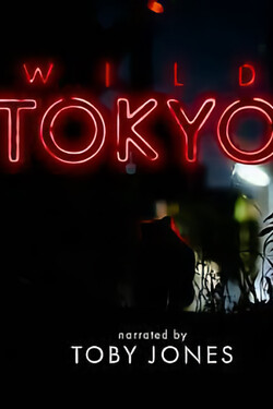 Viasat Nature: Дикий Токио - смотреть онлайн