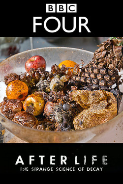 BBC. После смерти: Загадочная наука разложения - смотреть онлайн