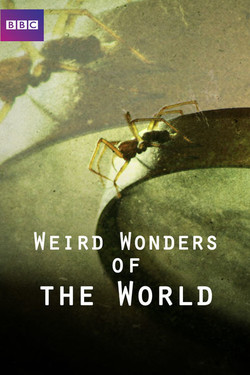 BBC: Поразительные чудеса мира - смотреть онлайн
