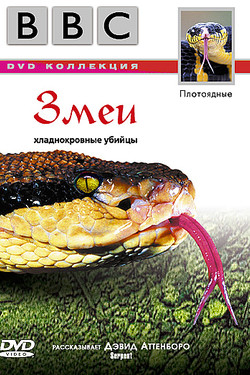 BBC: Змеи - смотреть онлайн