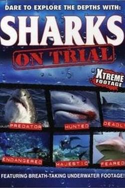 Акулы перед судом - смотреть онлайн
