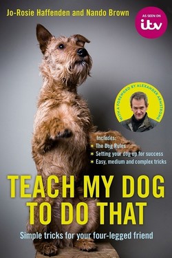 Обучите моего питомца - смотреть онлайн