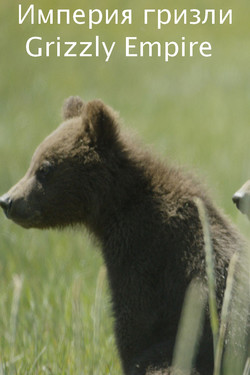 Империя гризли - смотреть онлайн