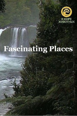 Захватывающие места - смотреть онлайн